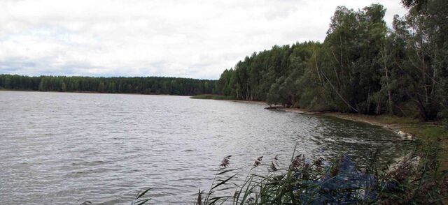 р-н Сокольский д. Богданово Междуреченский сельсовет фото