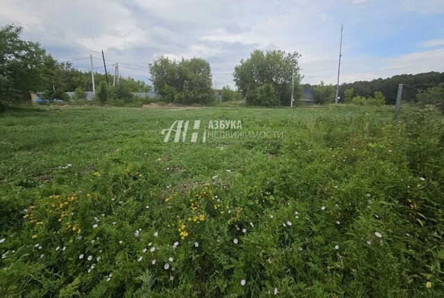 ул Мичурина Железнодорожная фото