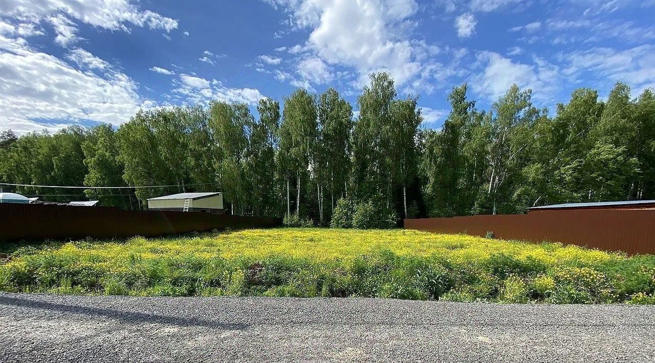 земля городской округ Дмитровский д Свистуха фото 4