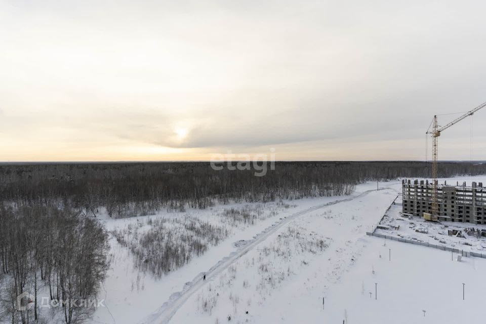 квартира р-н Тюменский д Патрушева ул Александра Пушкина 14 Московское сельское поселение фото 8