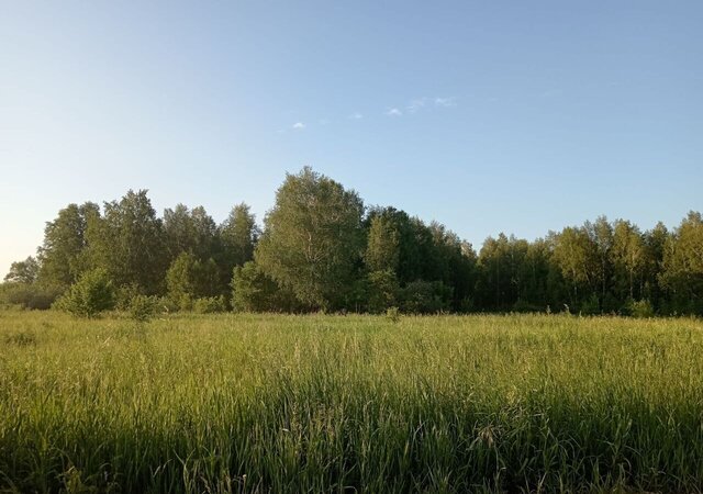 земля д Ключи Краснопольское сельское поселение, Челябинск фото