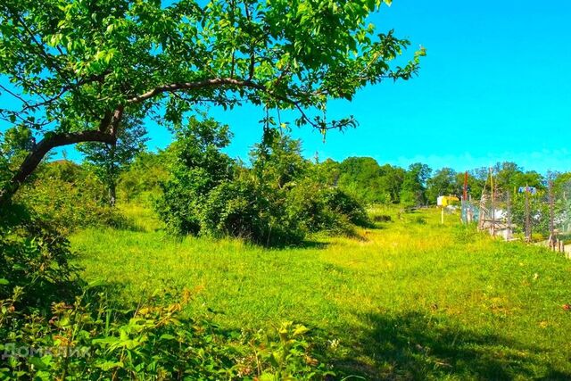 городской округ Сочи, село Бестужевское фото