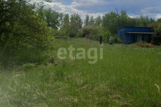 земля р-н Левобережный городской округ Воронеж, СНТ Ягодка фото