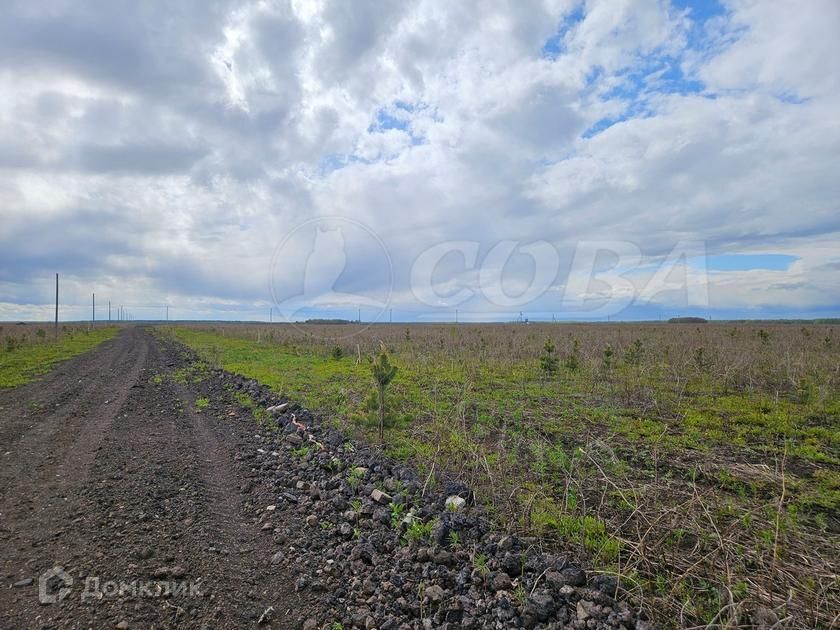 земля р-н Тюменский село Кулига фото 1