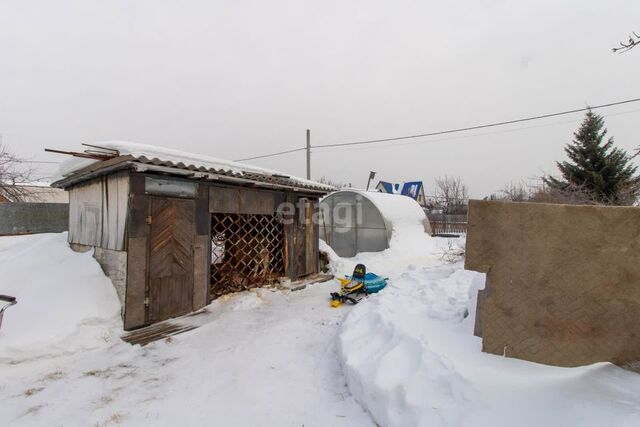 городской округ Тюмень, садоводческое некоммерческое товарищество Текстильщик фото