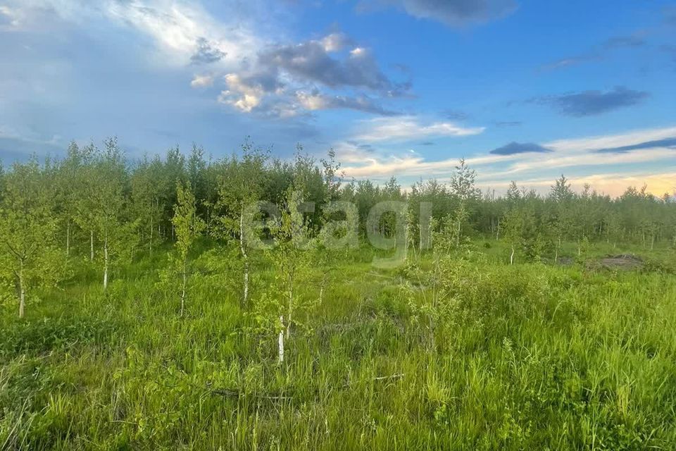 земля г Йошкар-Ола д Шоя-Кузнецово ул Родниковая городской округ Йошкар-Ола фото 1