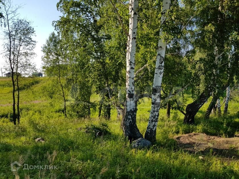 земля р-н Тюменский с Кулига коттеджный посёлок Альпийская Долина фото 4