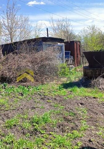 городской округ Омск, территория СОСН Осташково, Центральная аллея фото