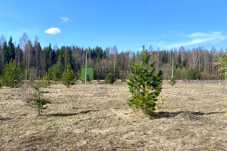 земля р-н Слободской д Сапожнята ул Барминская фото 3