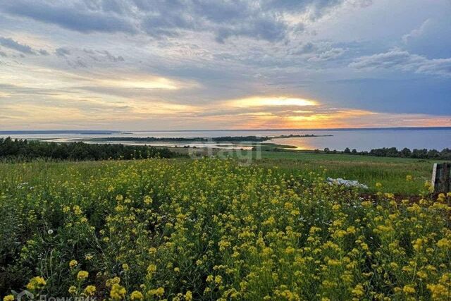 земля деревня Кулушево фото