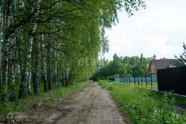 земля рабочий посёлок Ишеевка фото