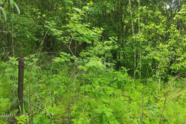 городской округ Горно-Алтайск, садоводческое некоммерческое товарищество Рябинушка фото