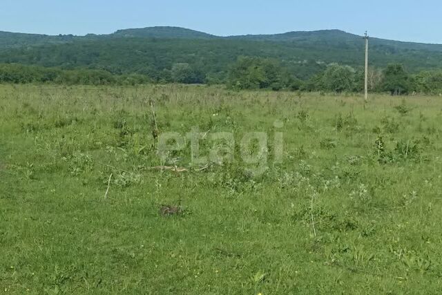 ст-ца Абадзехская ул Интернациональная фото