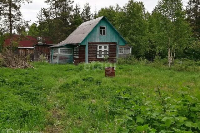 городской округ Архангельск, садовое товарищество Чайка фото