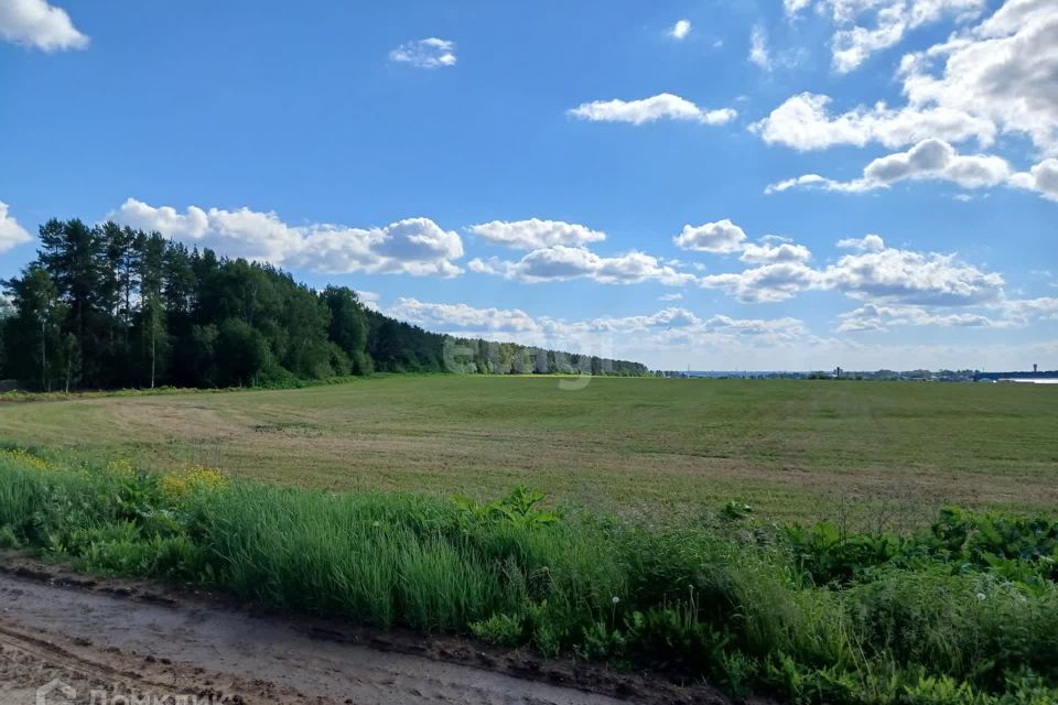 земля г Йошкар-Ола д Шоя-Кузнецово ул Родниковая городской округ Йошкар-Ола фото 3