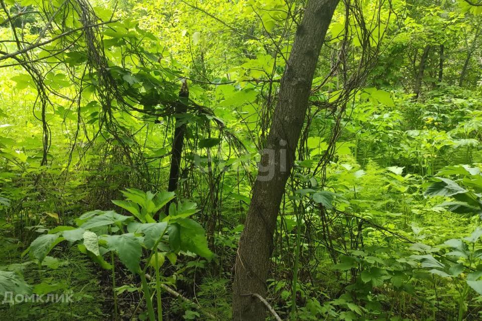 земля г Горно-Алтайск городской округ Горно-Алтайск, садоводческое некоммерческое товарищество Рябинушка фото 2