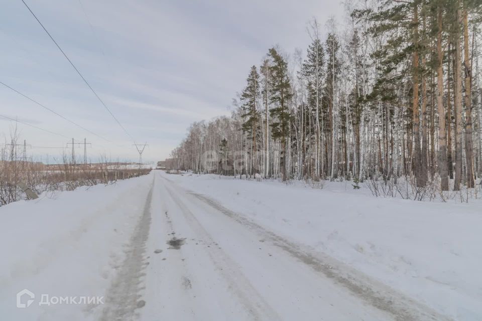 земля г Челябинск р-н Центральный городской округ Челябинск, СНТ Мичуринец фото 10