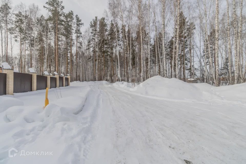 земля г Челябинск р-н Центральный городской округ Челябинск, СНТ Мичуринец фото 7