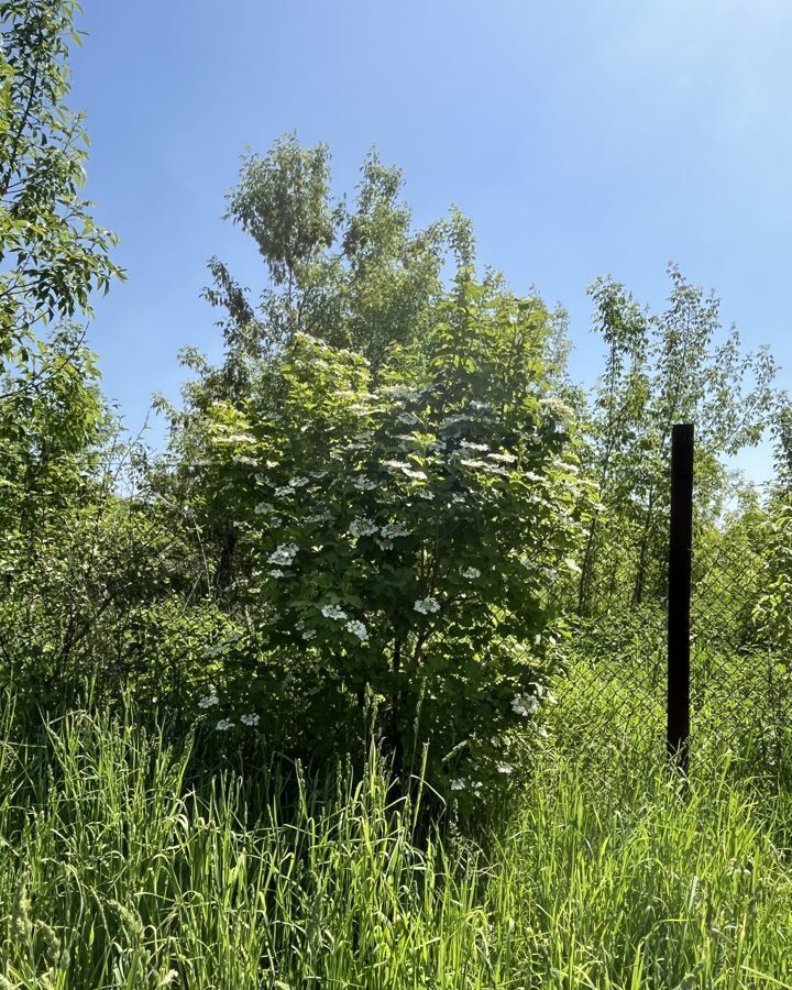 земля городской округ Коломенский д Бакунино ул Весенняя 9 80 км, Коломна, Новорязанское шоссе фото 4