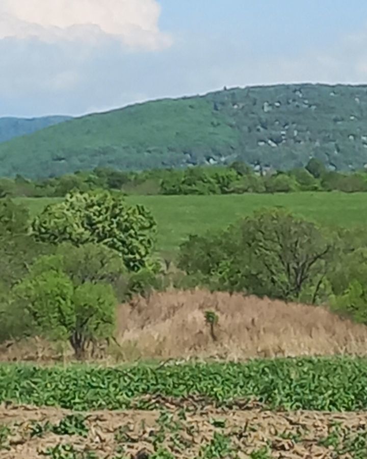 земля р-н Надеждинский п Кипарисово-2 ул Тополиная 1 Раздольное фото 3