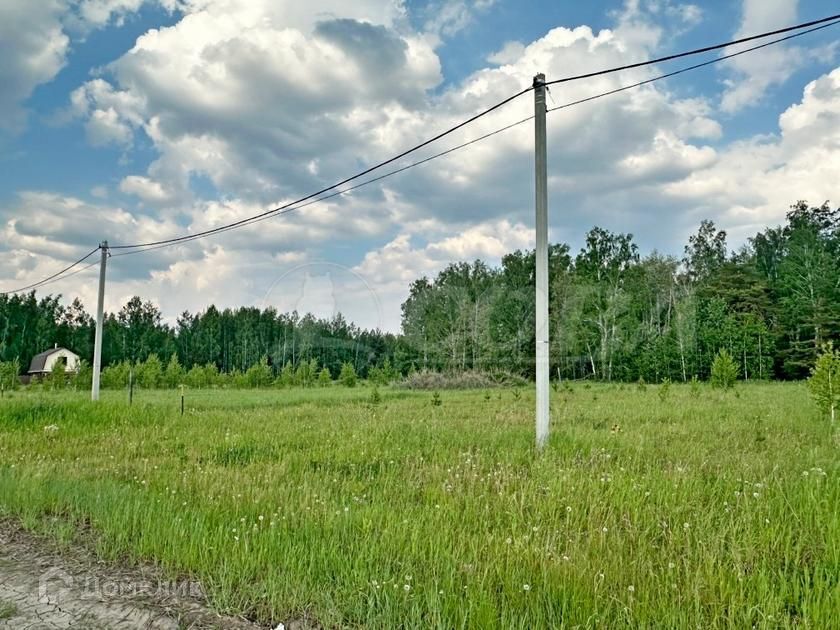 земля р-н Тюменский д Падерина ул Луговая фото 6