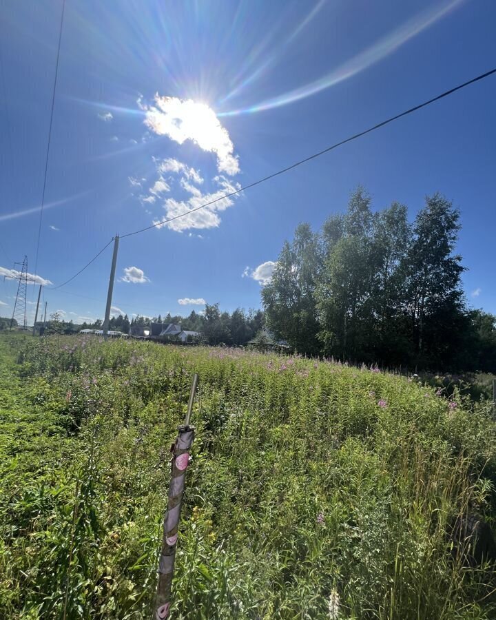 земля городской округ Волоколамский д Лазарево ул Центральная 103 км, Волоколамск, Новорижское шоссе фото 3