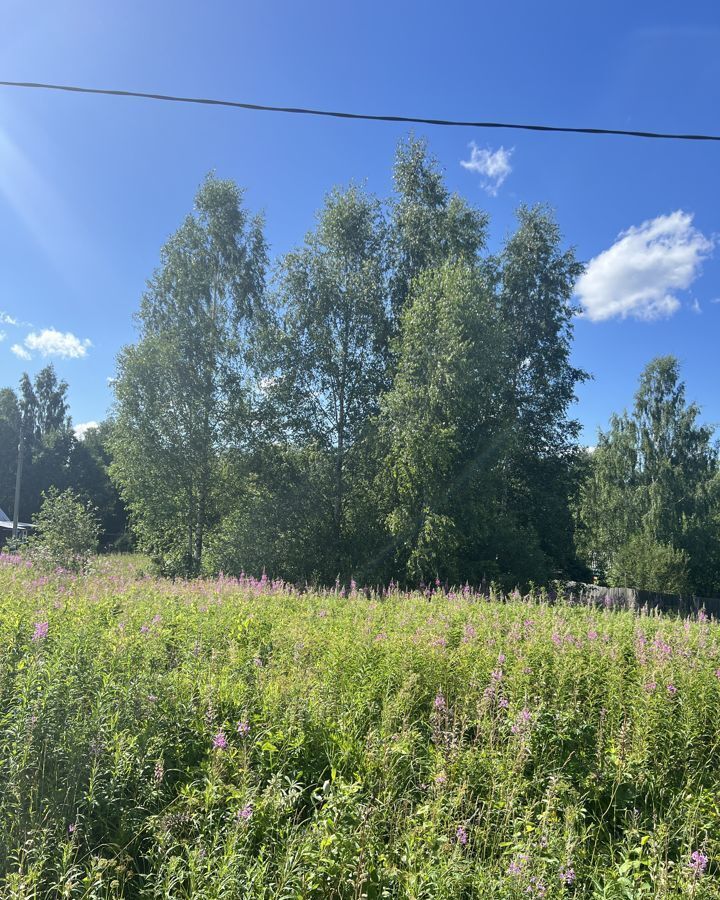 земля городской округ Волоколамский д Лазарево ул Центральная 103 км, Волоколамск, Новорижское шоссе фото 4