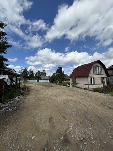 Санкт-Петербург, Парголово, Осиновая улица фото