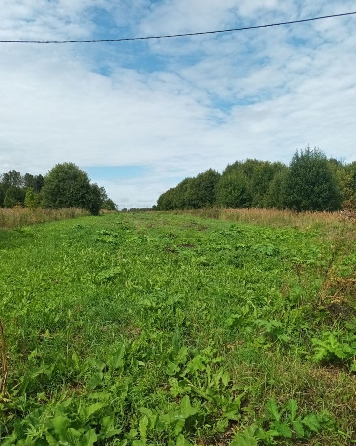 земля городской округ Шаховская с Белая Колпь 111 км, Новорижское шоссе фото 12