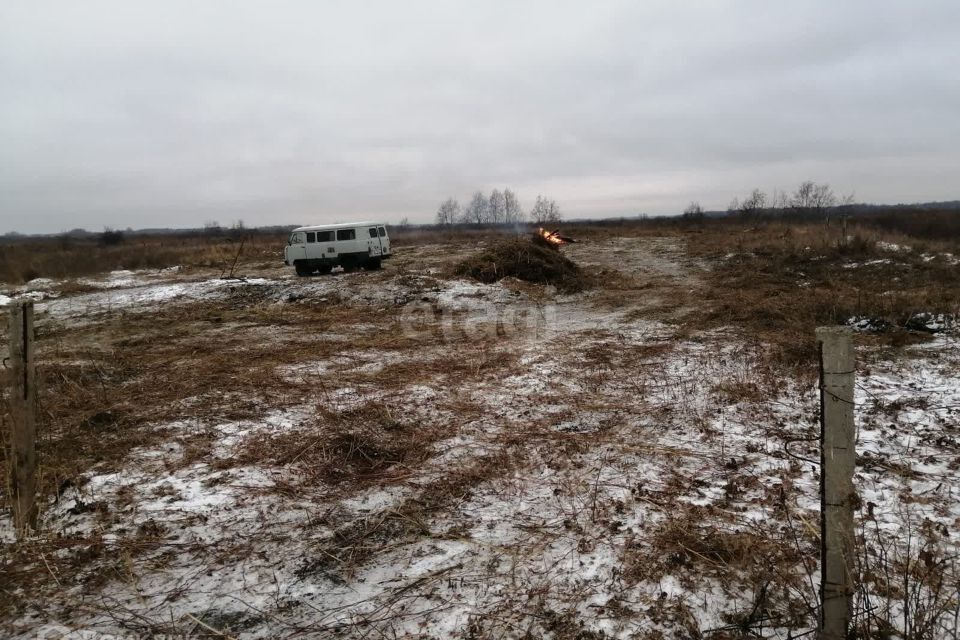 земля р-н Ирбитский деревня Большая Милькова фото 2