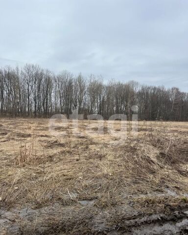 р-н Ленинский с Зайцево ул Березовая 29 Тула, Привокзальный фото