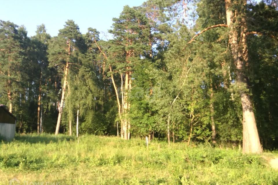 земля городской округ Серпухов посёлок Большевик фото 5