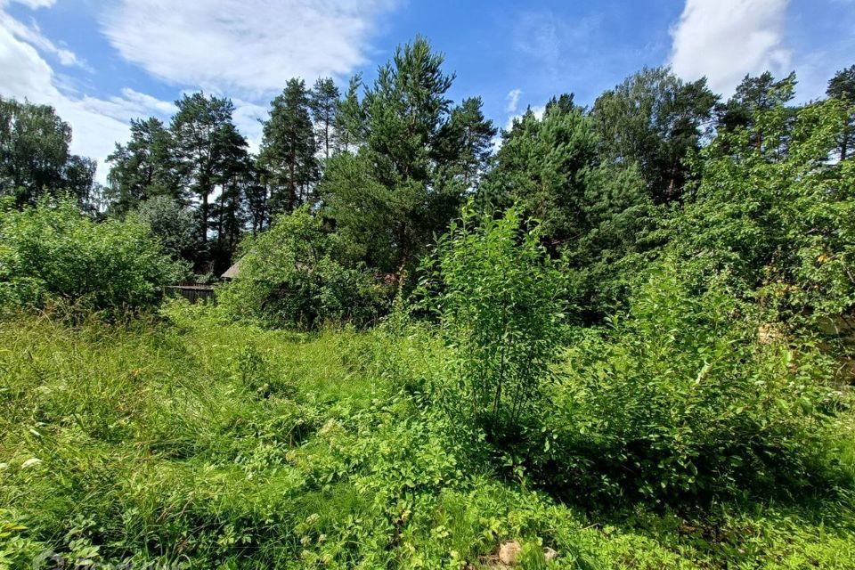 земля р-н Гатчинский городской посёлок Вырица, улица Полякова фото 4