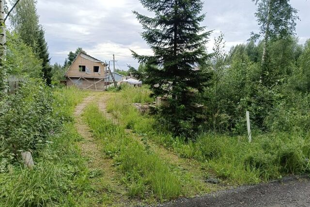 садоводческое некоммерческое товарищество Меркурий фото