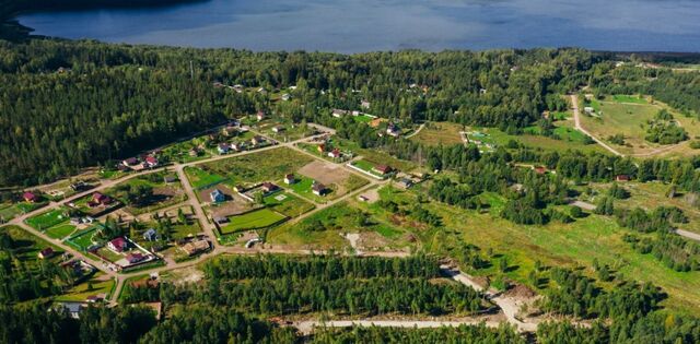 п Красная Долина Приморское городское поселение фото