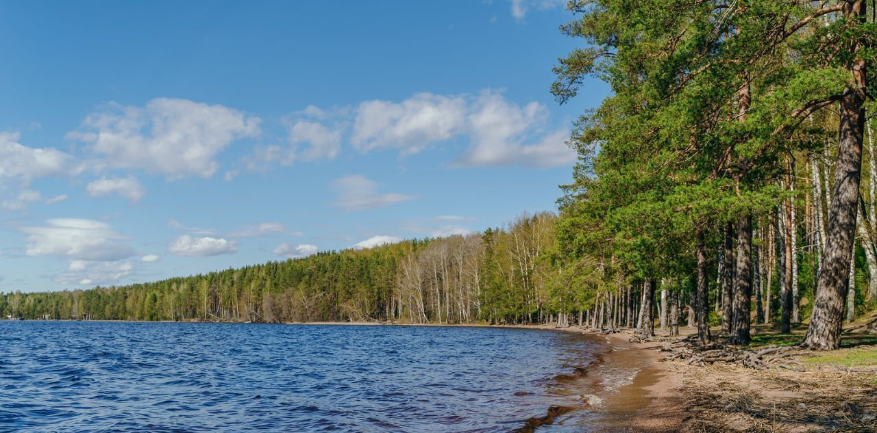 земля р-н Выборгский п Красная Долина Приморское городское поселение фото 19