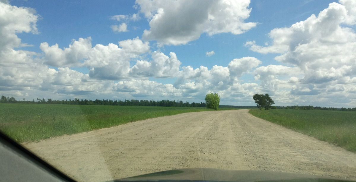 земля р-н Людиновский д Савино сельское поселение Село Заречный, Людиново фото 2