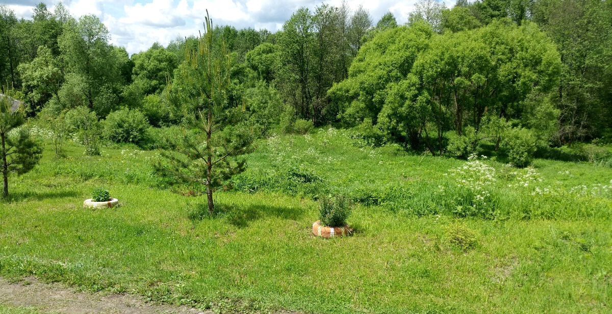 земля р-н Людиновский д Савино сельское поселение Село Заречный, Людиново фото 7