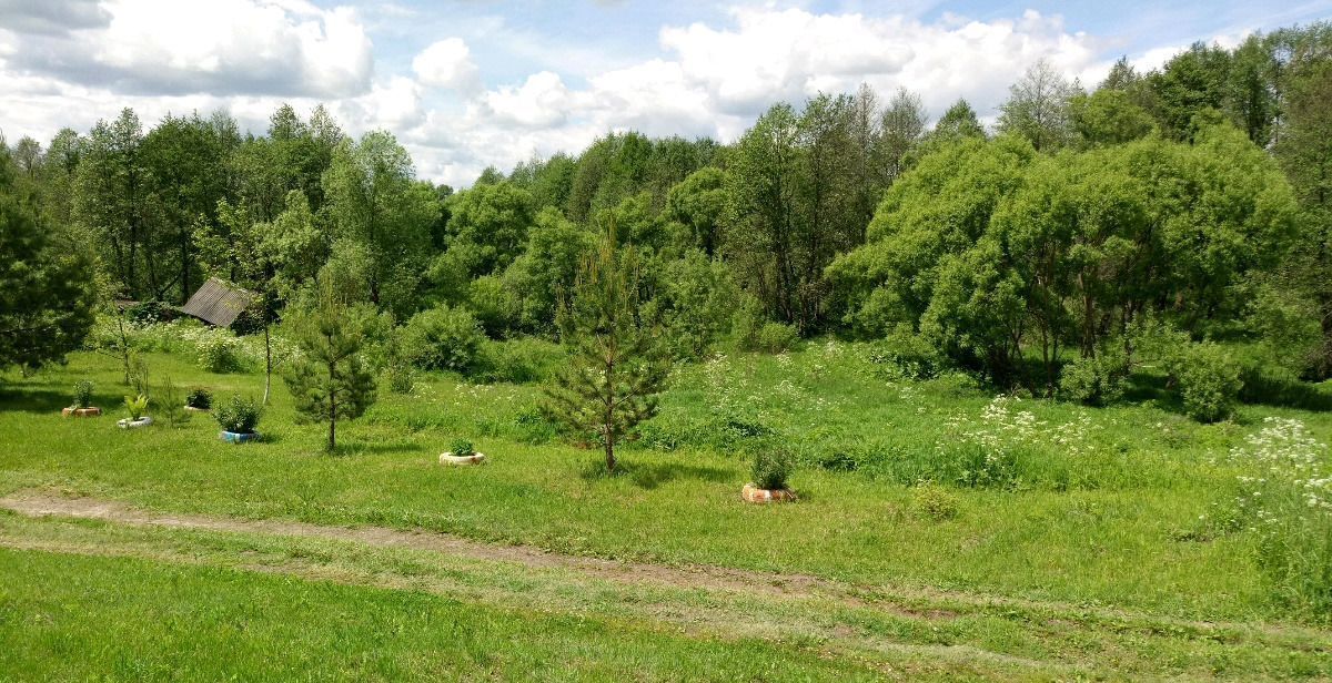 земля р-н Людиновский д Савино сельское поселение Село Заречный, Людиново фото 16