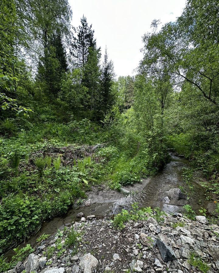 земля р-н Турочакский с Артыбаш Турочак фото 4