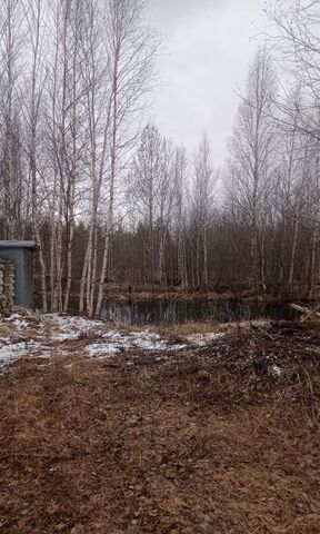 земля садово огородное товарищество Огородник -3, 6, Тюменская обл. фото