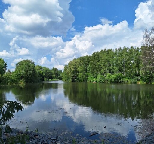 ул Весенняя Екимовское сельское поселение, Рязань фото