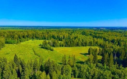 Павловская Слобода фото