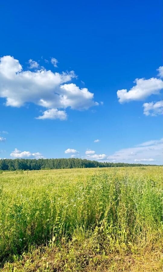 земля р-н Жуковский д Алопово сельское поселение Совхоз Победа, Балабаново фото 9