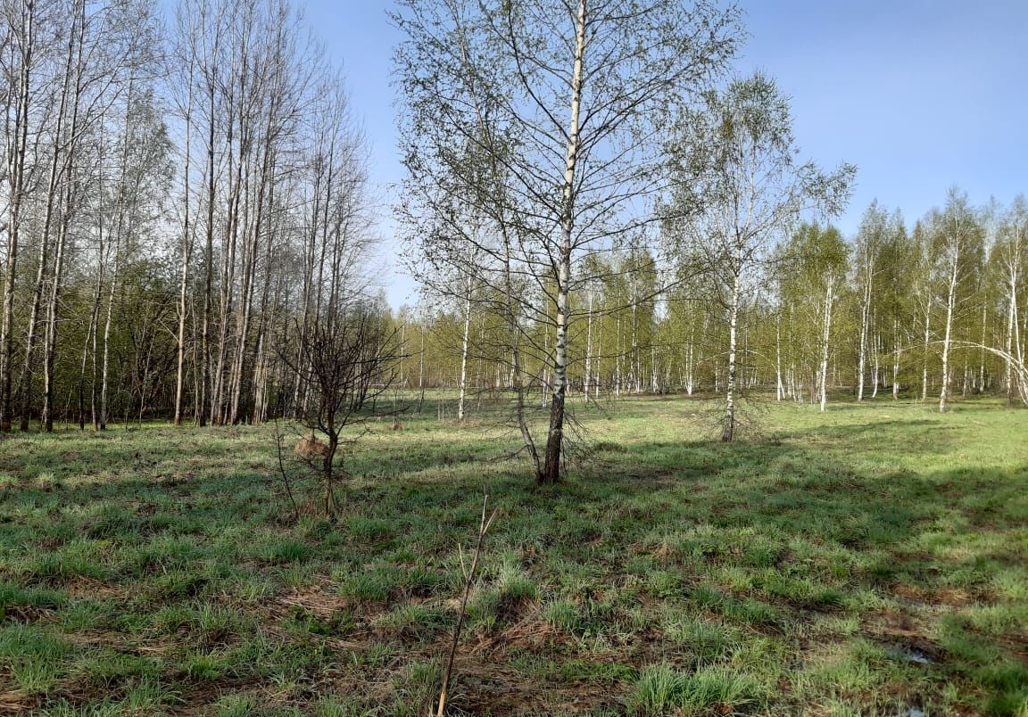 земля р-н Переславский д Гулино Переславль-Залесский фото 2