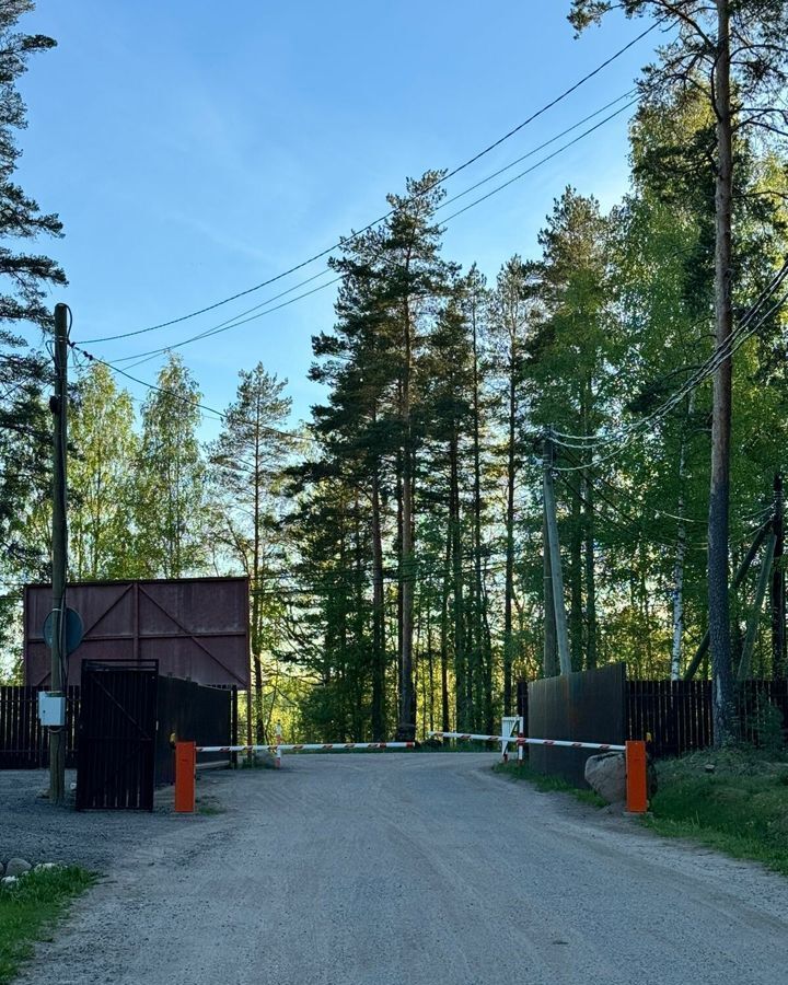 земля р-н Выборгский п Красная Долина Приморское городское поселение, коттеджный пос. Сосновый пляж, 132 фото 5