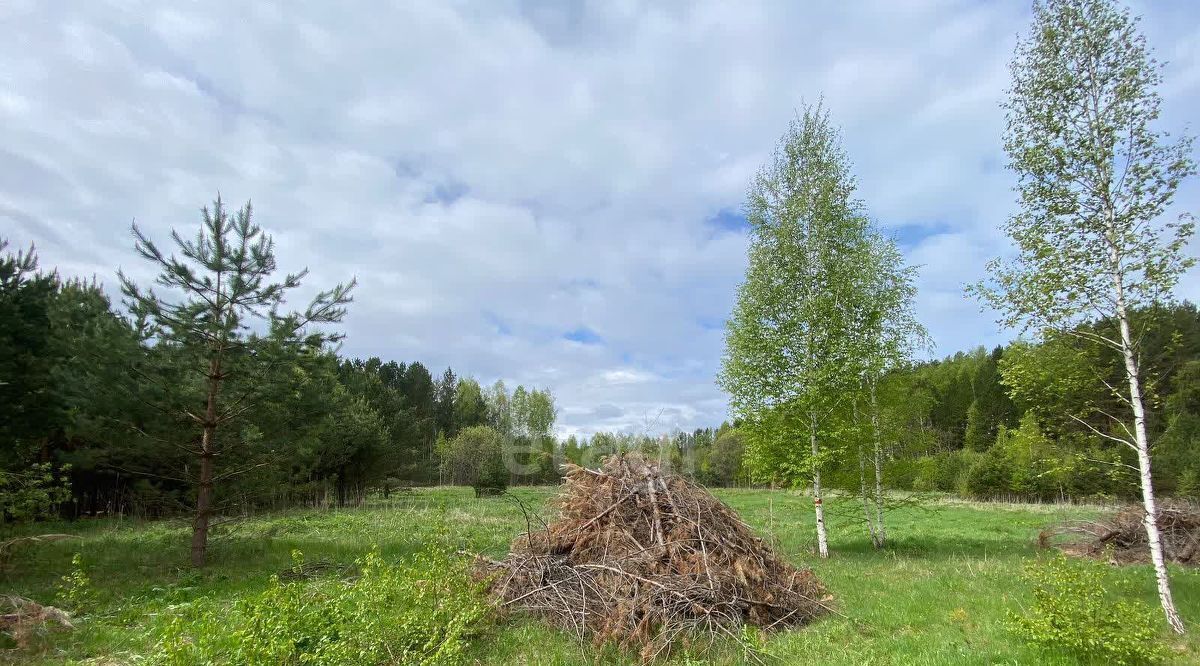 земля р-н Томский Деревня Петровский уч, пер. Озерный, 1Б фото 24