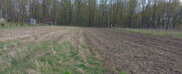 земля д Домашово Фалилеевское сельское поселение, Бегуницы фото