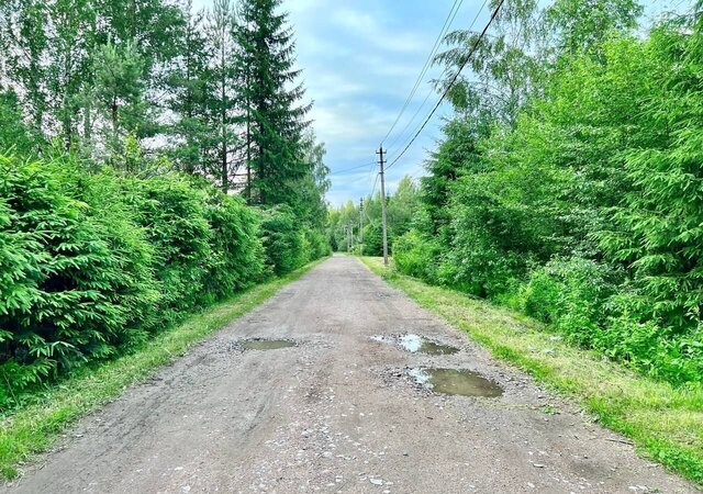 массив Екатериновка снт Долина Куйвозовское сельское поселение, 14, Лесколово фото