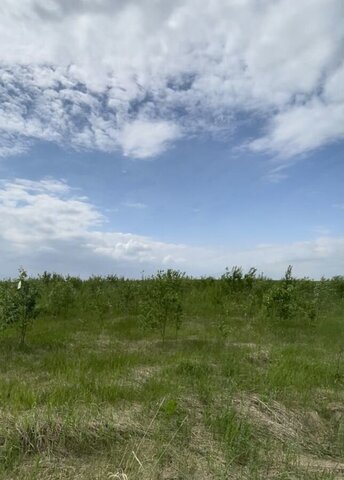 земля с Култаево Култаевское сельское поселение фото